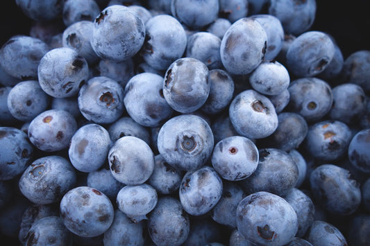 Boost Your Day with Energy Chews: Unveiling the Power of Quick Energy Boosting Snacks